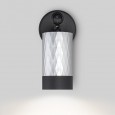 Настенный светильник с выключателем 20088/1 черный/серебро